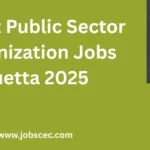 Latest Public Sector Organization Jobs Quetta 2025 Apply Online
