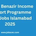 Latest Benazir Income Support Programme BISP Jobs Islamabad 2025