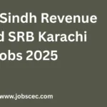 Latest Sindh Revenue Board SRB Karachi Jobs 2025
