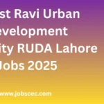 Latest Ravi Urban Development Authority RUDA Lahore Jobs 2025