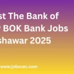 Latest The Bank of Khyber BOK Bank Jobs Peshawar 2025