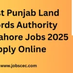 Latest Punjab Land Records Authority PLRA Lahore Jobs 2025 Apply Online