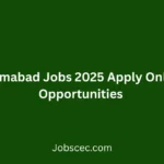 NDMA Islamabad Jobs 2025 Apply Online Career Opportunities