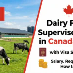 Dairy Farm Jobs in Canada 2026: Salary, Visa Sponsorship, Requirements, and How to Apply